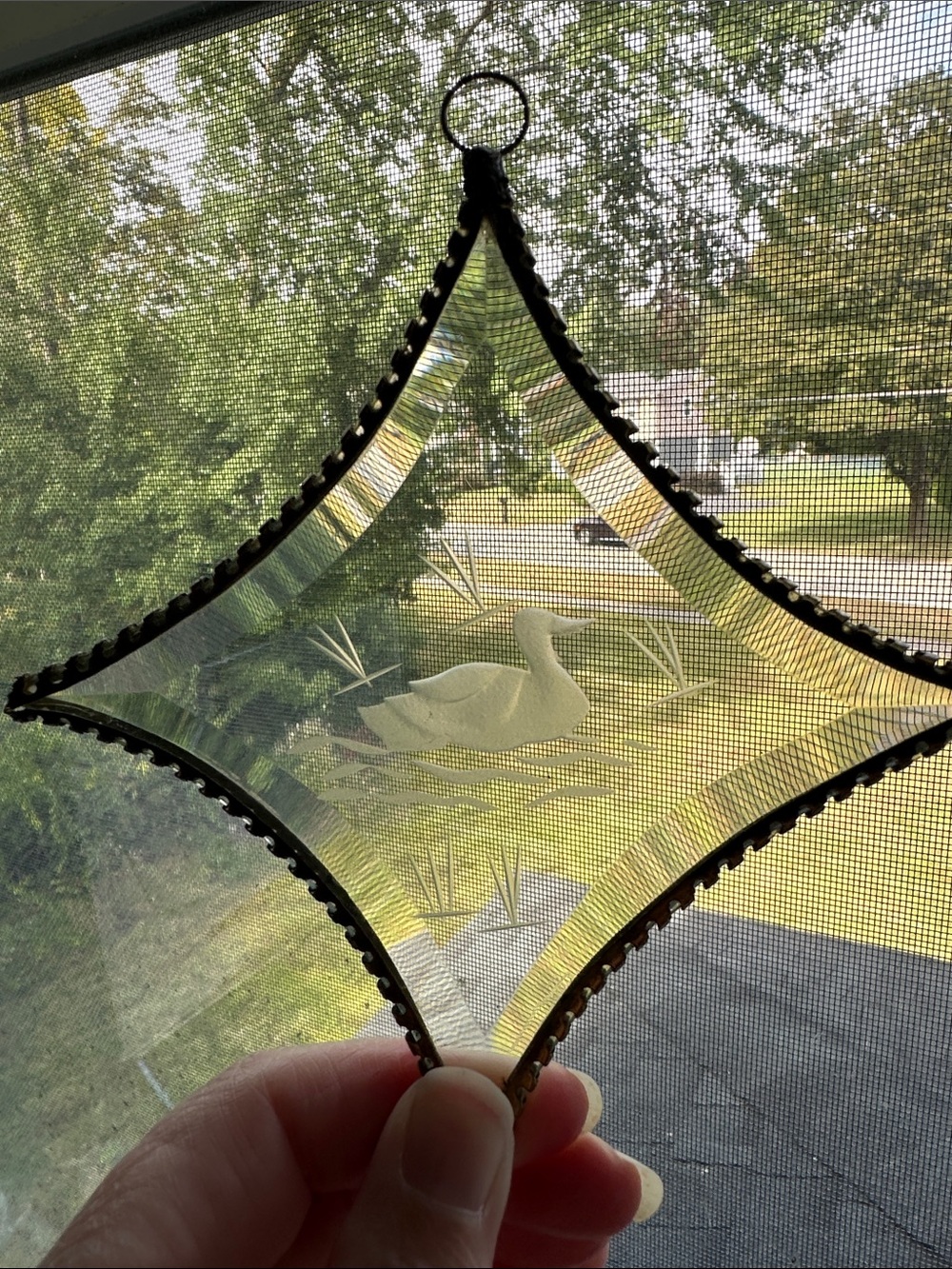 Glass Etched Duck Suncatcher Ornament - Clear🦆🦆